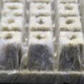 Grodan-AX-cubes-close2