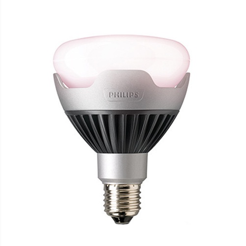 steen Definitief financieel Philips GreenPower Flowering Lamp DR/W – 230V – Hort Americas