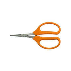 ars-bonsai-fruit-grape-scissors