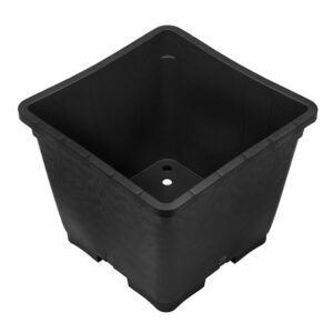 beekenkamp-blueberries-growing-pot-28-liter