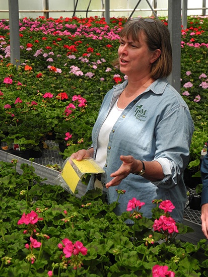 Looking for a better, easier way to do greenhouse IPM? – Hort Americas