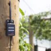 Bluelab connect stick passion fruit greenhouse
