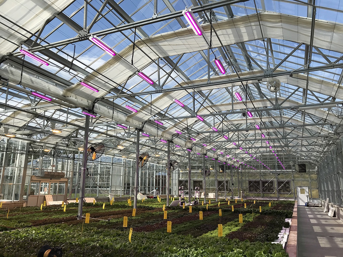 Cooling Capacity in Greenhouses – Hort Americas