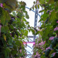 ELZEPHOTO_MG_2943_Modiff