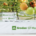 grodan-plantop