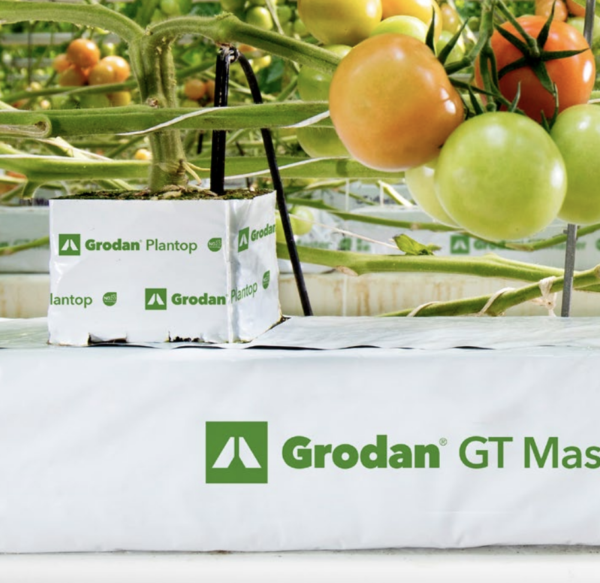 grodan-plantop