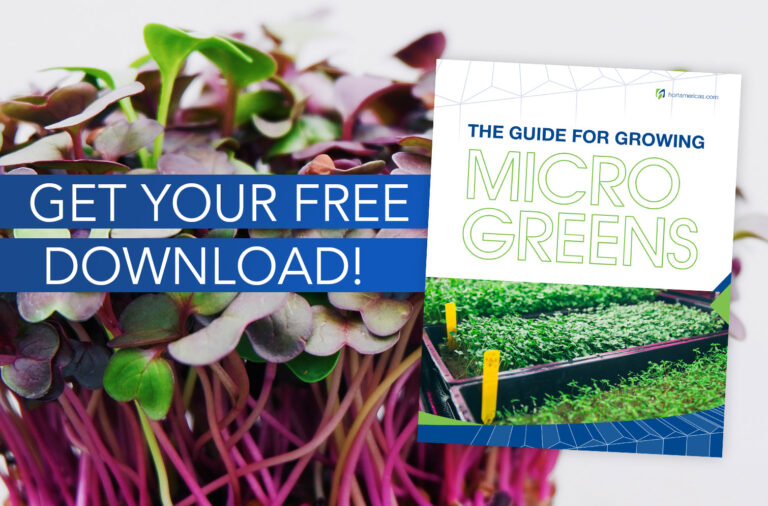Free Download: The Guide to Growing Microgreens