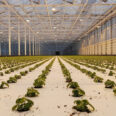 Meteor Systems DWC floating rafts-2